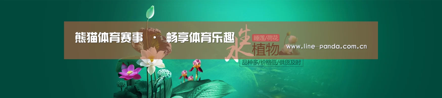 鲜花水草花卉网站模板
