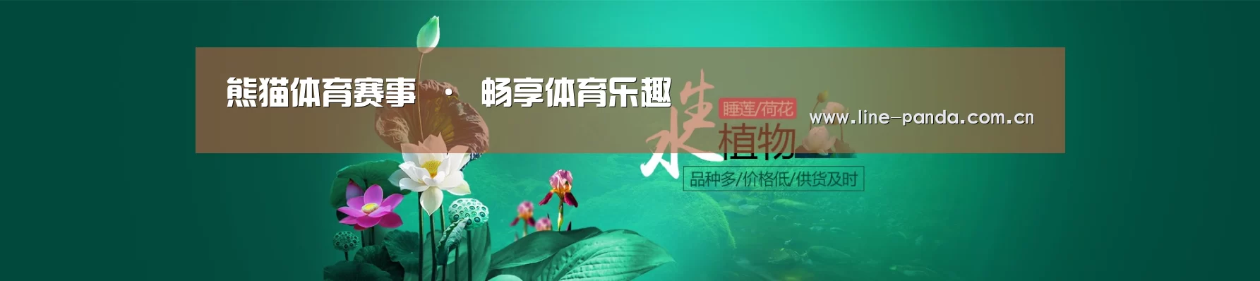 鲜花水草花卉网站模板