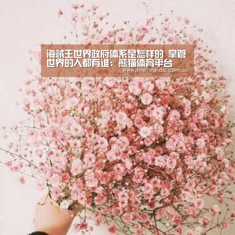 海贼王世界政府体系是怎样的 掌管世界的人都有谁:熊猫体育平台(图3) 熊猫赛事