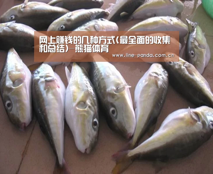 熊猫体育官网
