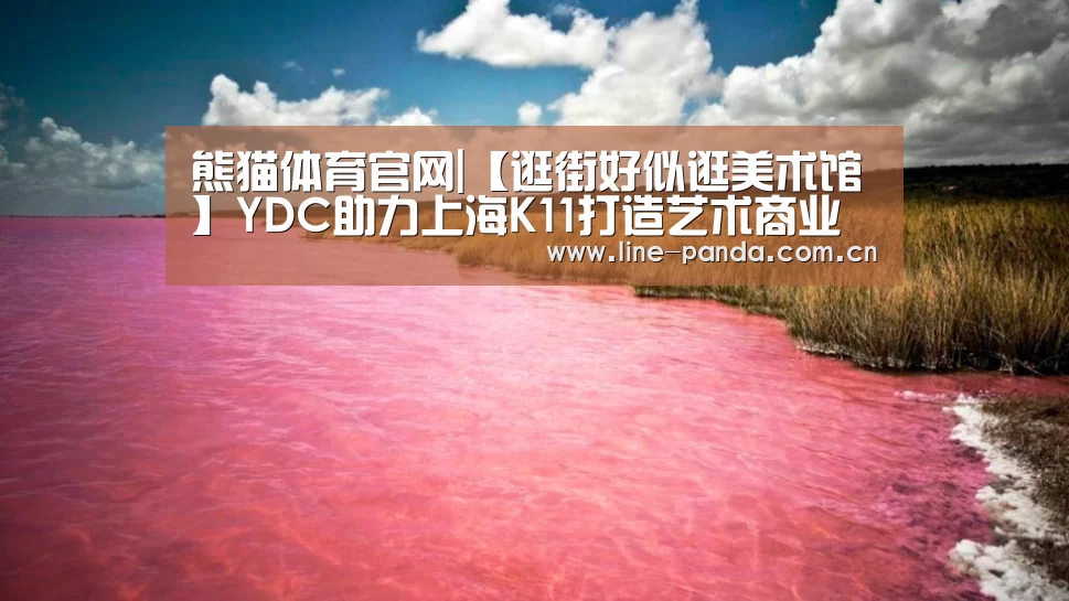 熊猫体育官网|【逛街好似逛美术馆】YDC助力上海K11打造艺术商业空间(图1) 熊猫体育官网