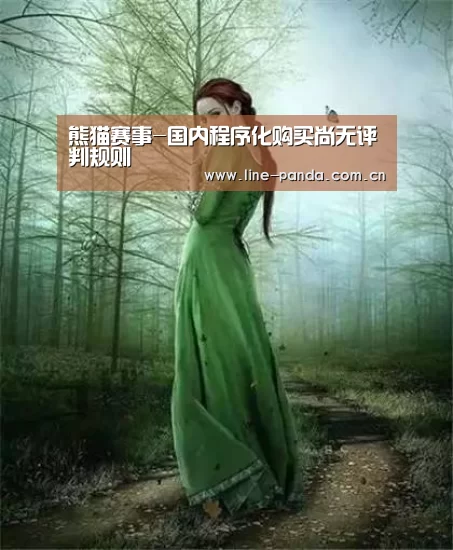 熊猫赛事-国内程序化购买尚无评判规则(图2) 熊猫体育