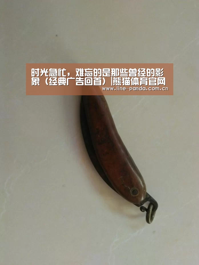 时光急忙,难忘的是那些曾经的影象(经典广告回首)|熊猫体育官网