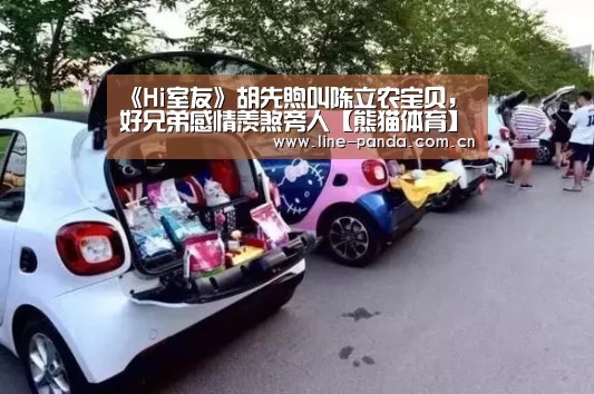 熊猫赛事
